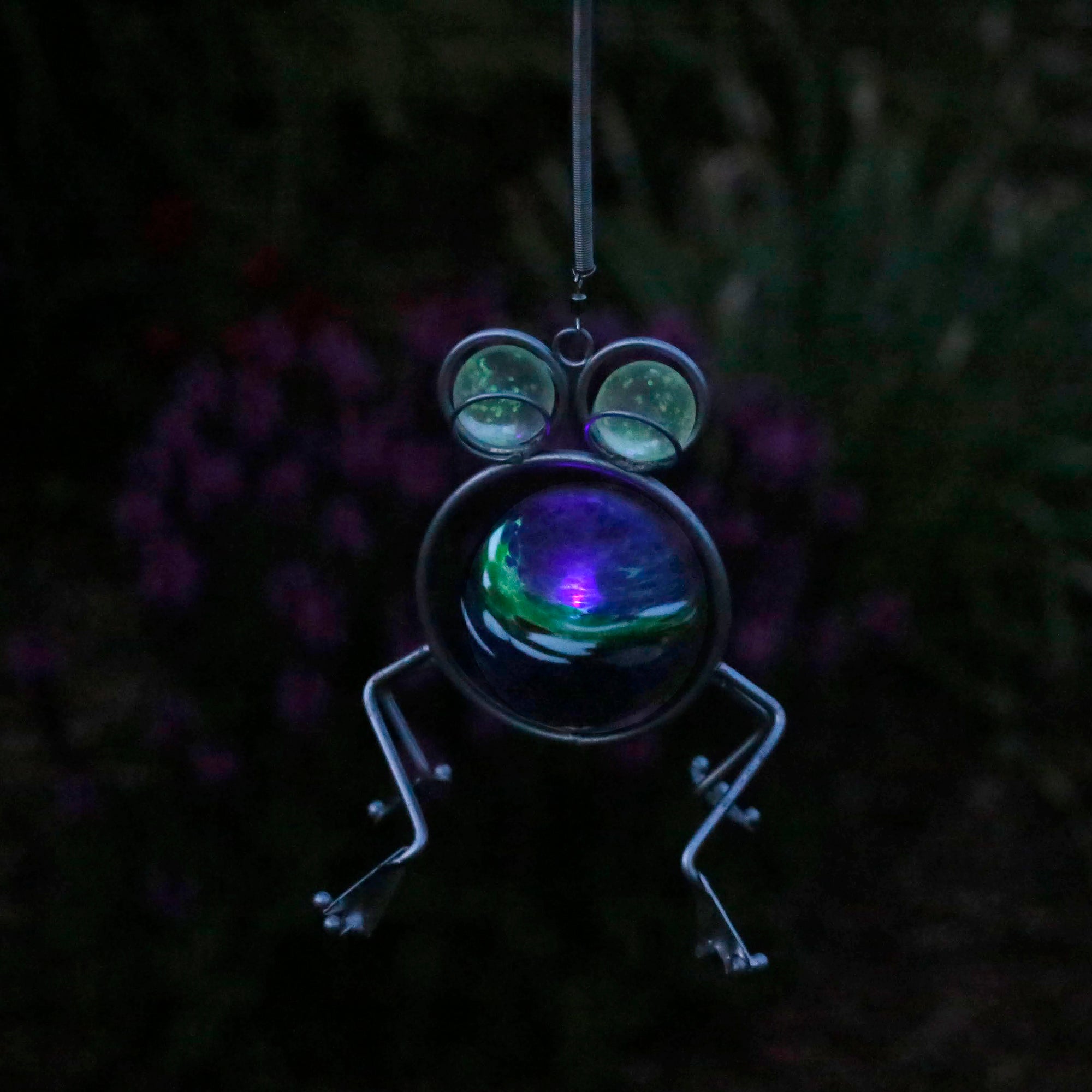 LunaLite Bouncer - Frog