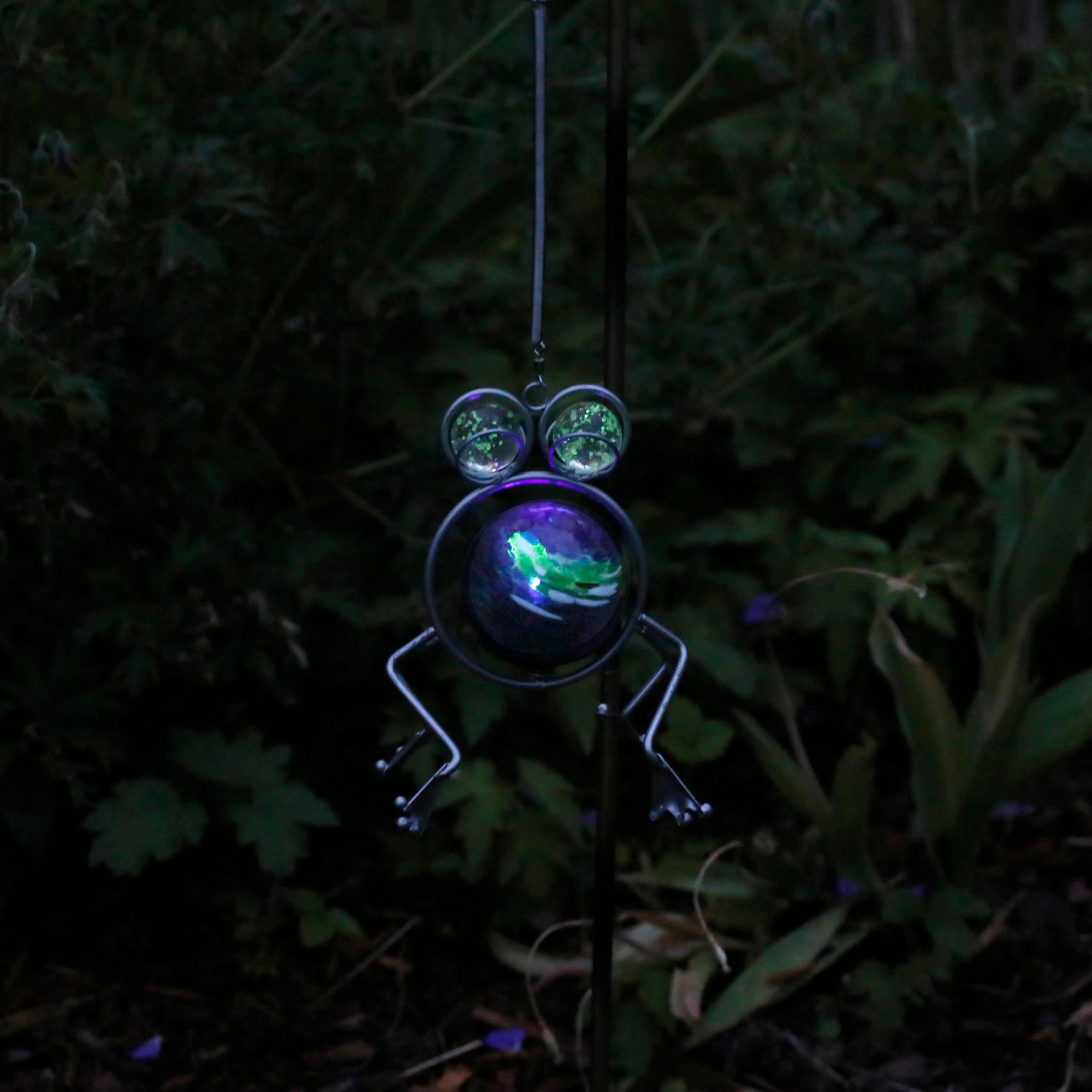 LunaLite Bouncer - Frog