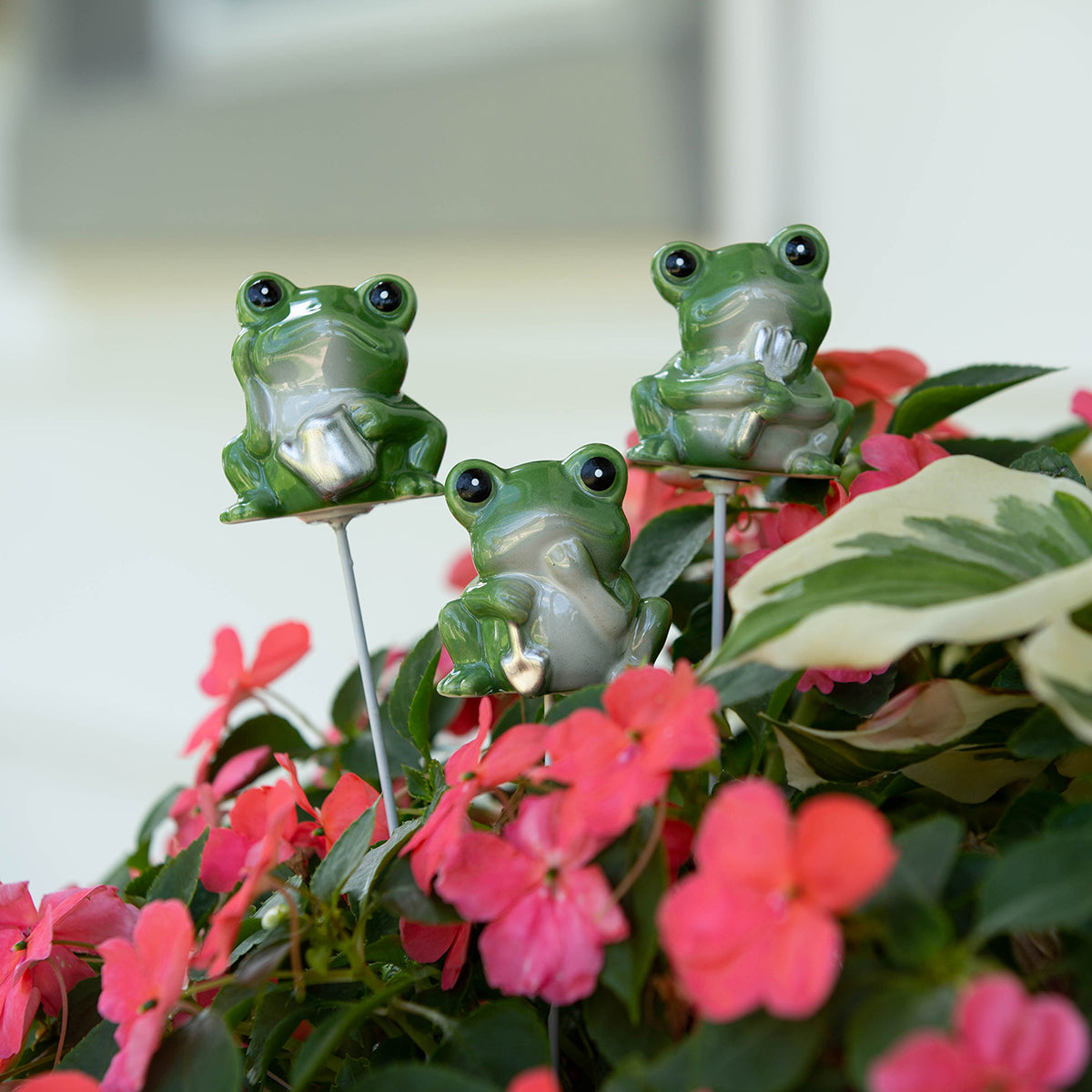 Porcelain Frog Planter Stake 3pc Assortment