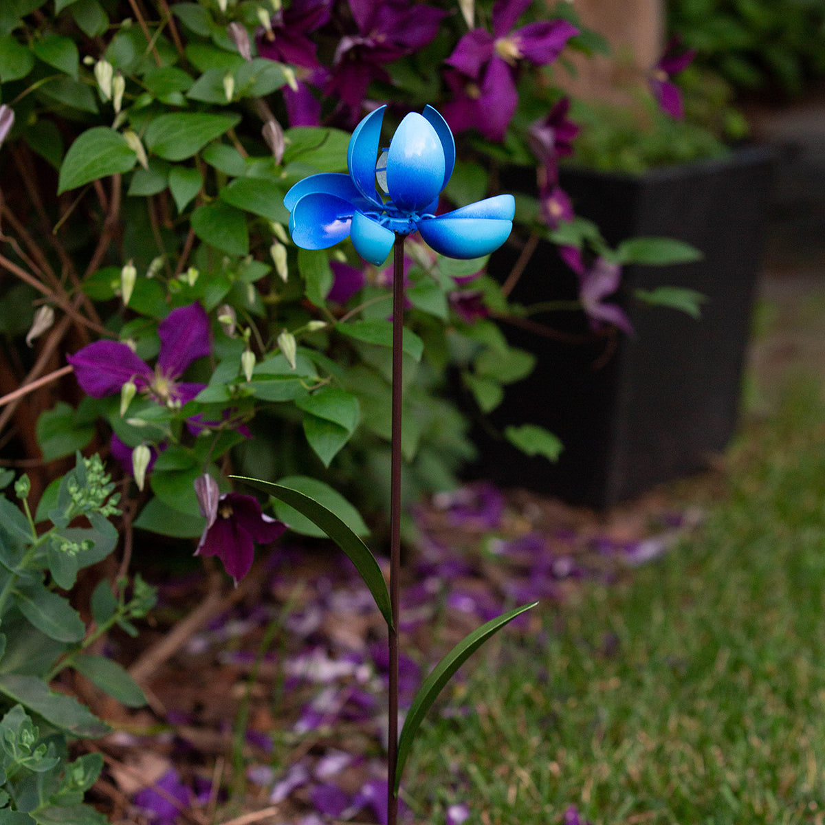 Crocus Pinwheel (Blue)