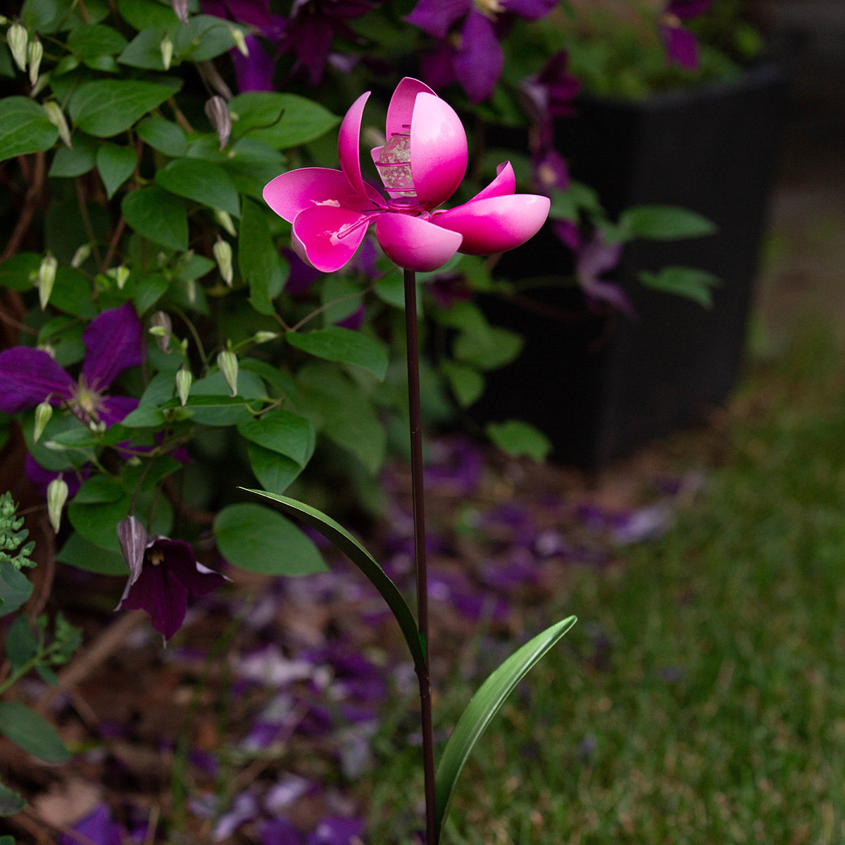 Crocus Pinwheel - Pink