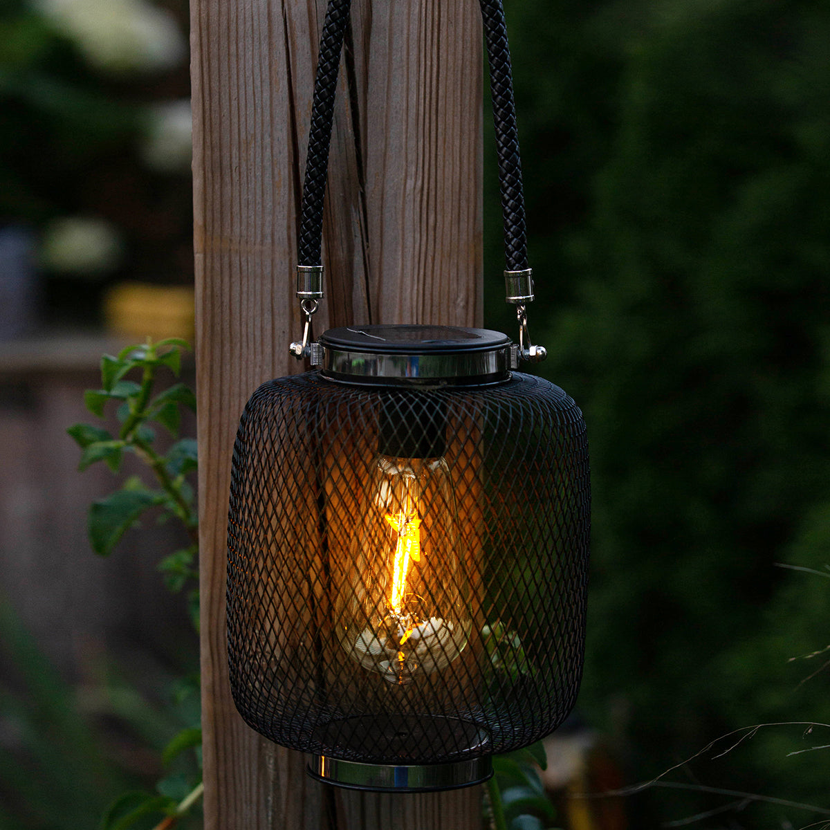 Portage Edi-Sol Lantern