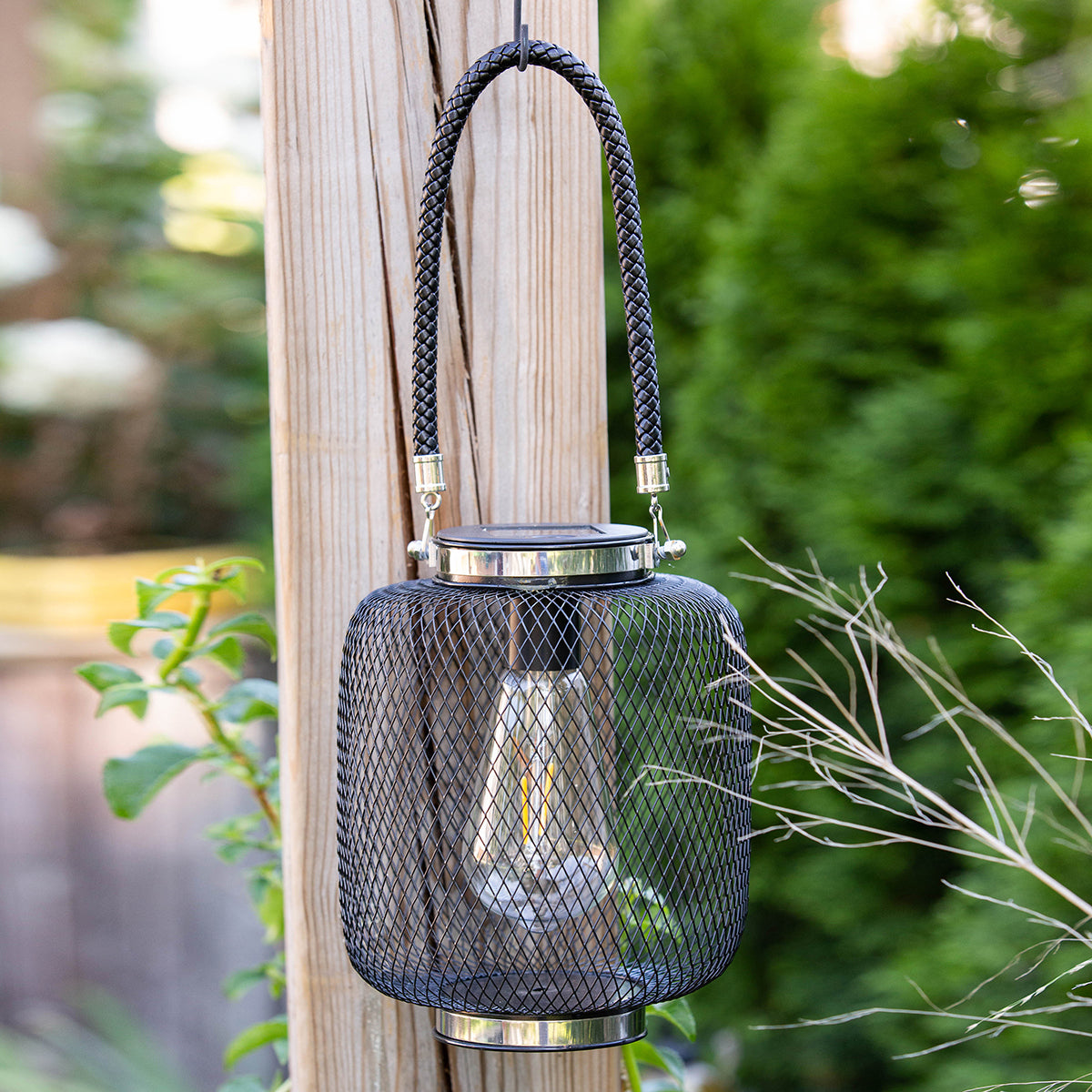 Portage Edi-Sol Lantern