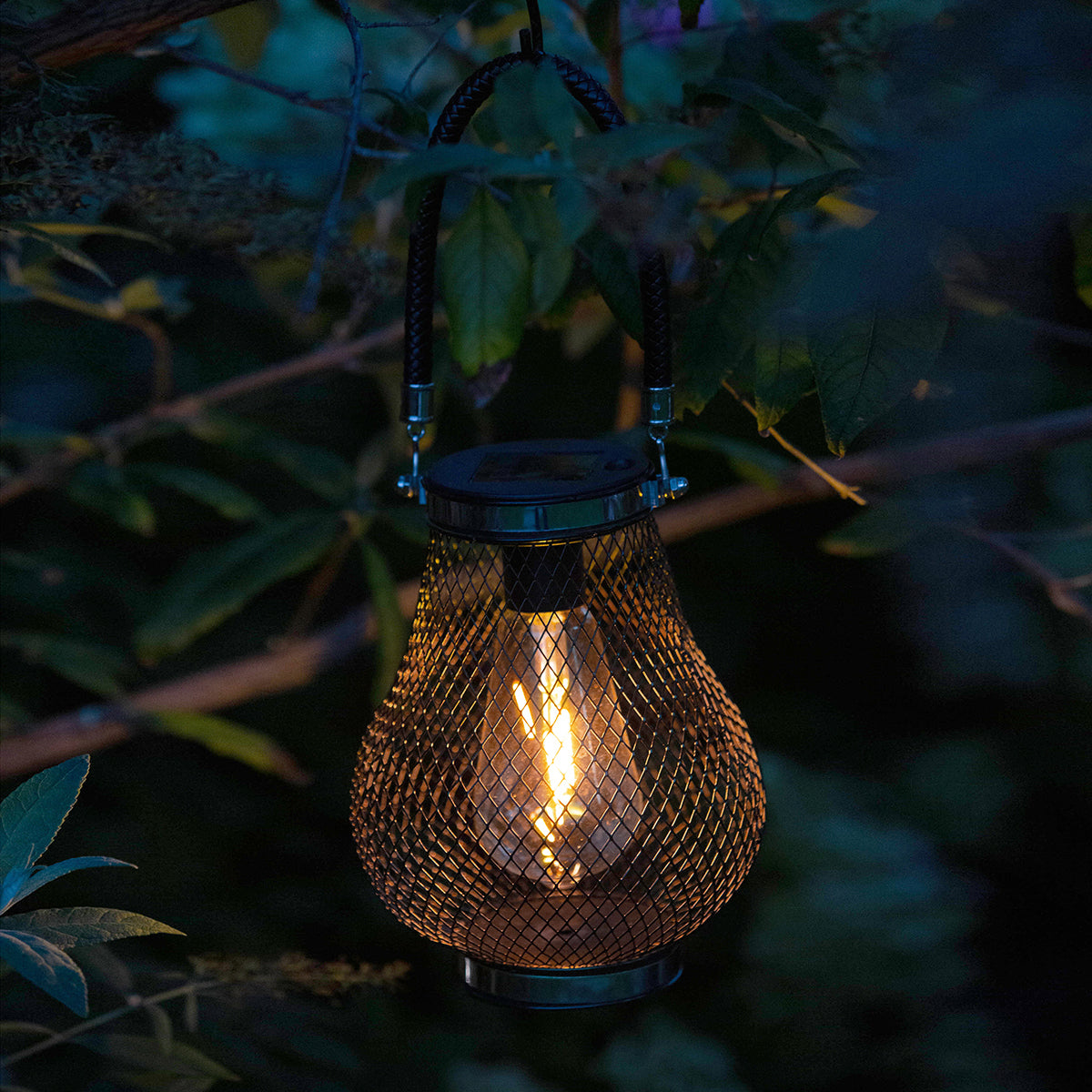 Bimini Edi-Sol Lantern