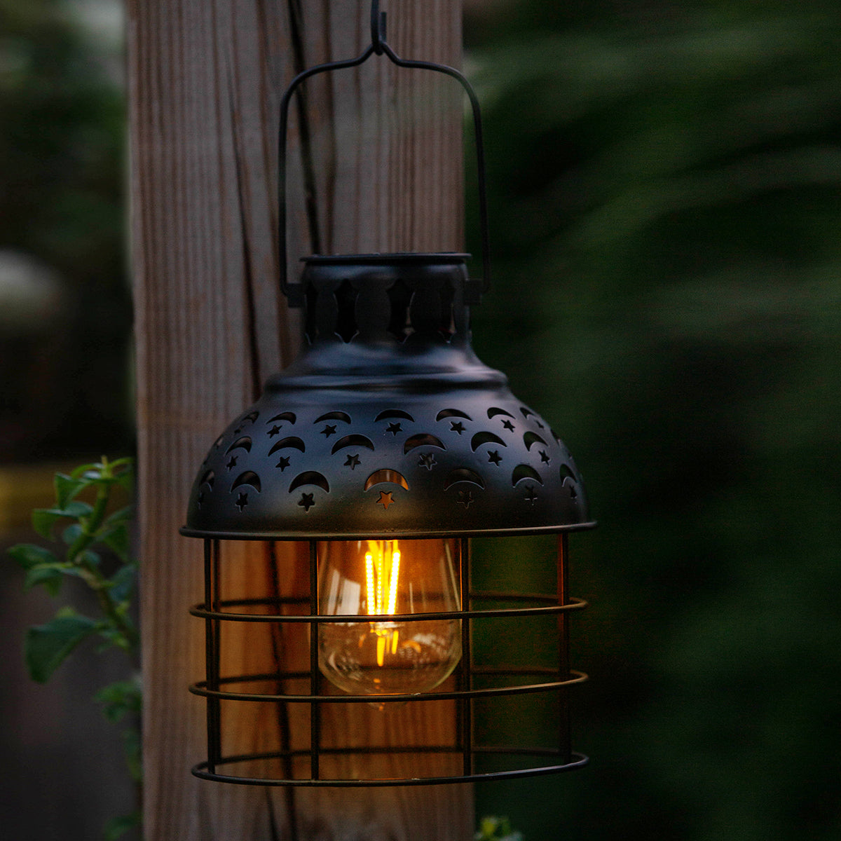 Celestial Pendant Edi-Sol Light - Black