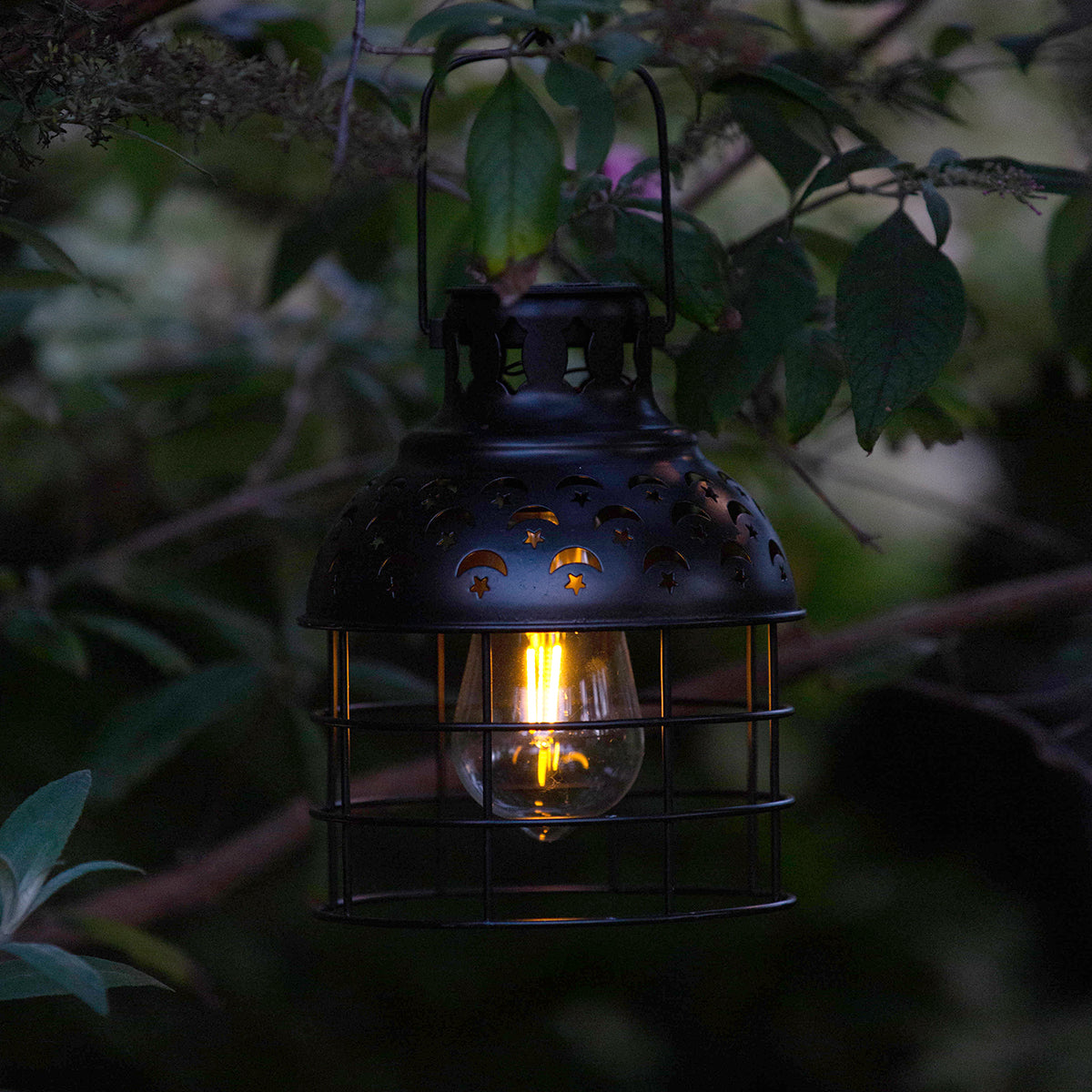 Celestial Pendant Edi-Sol Light - Black