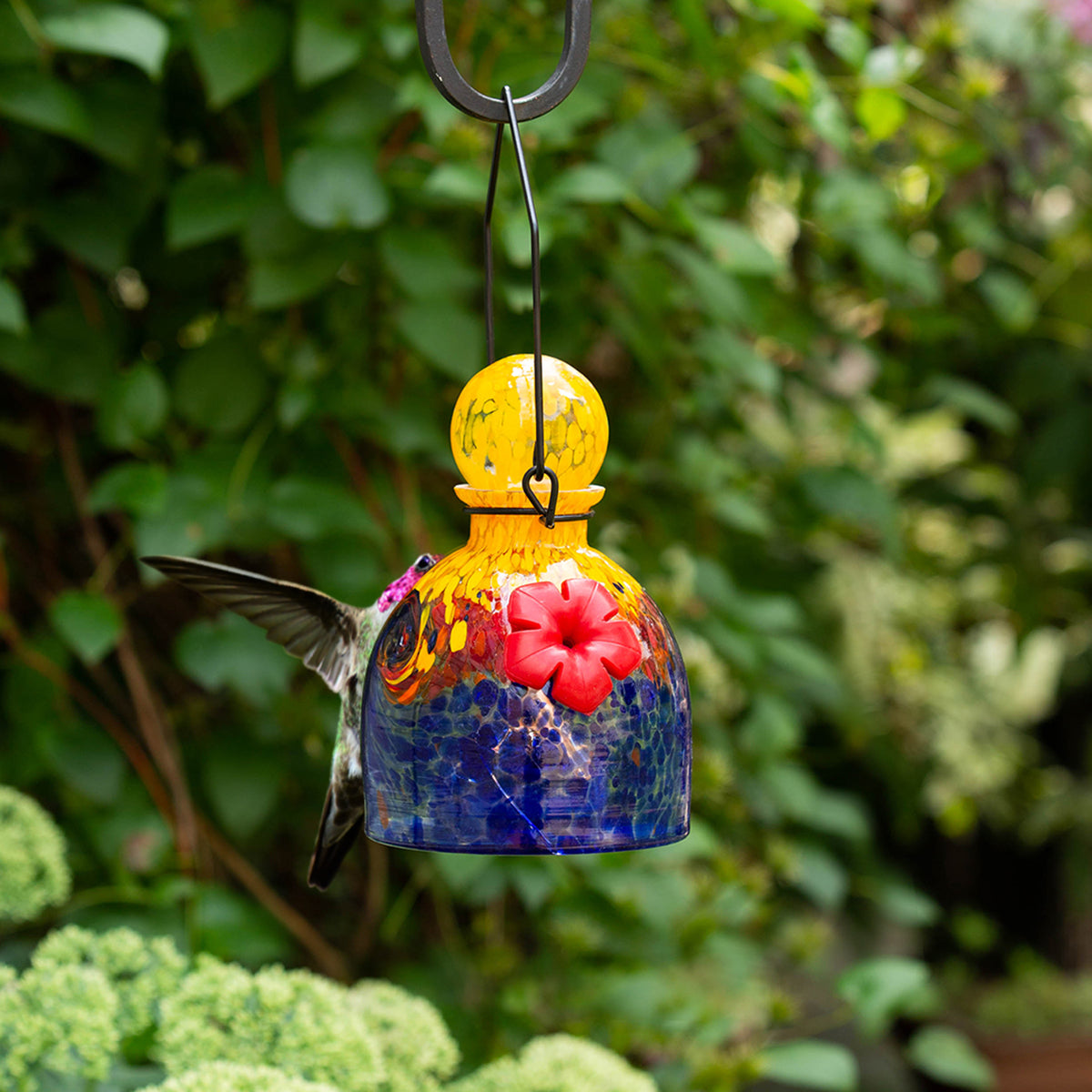 LunaLite Bell Hummingbird Feeder - Orange/Blue