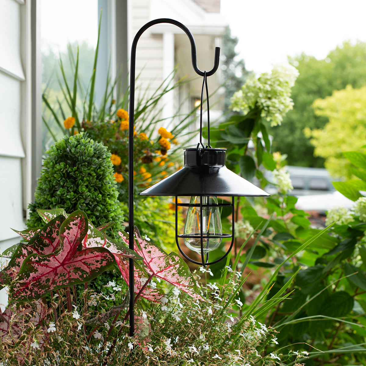 Marine Pendant Edi-Sol Lantern with Shepherd's Rod - Black