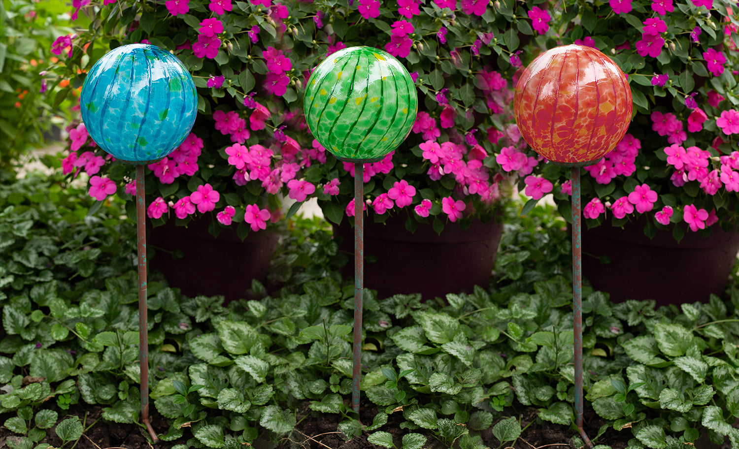 6" Lollipop Globe Stakes