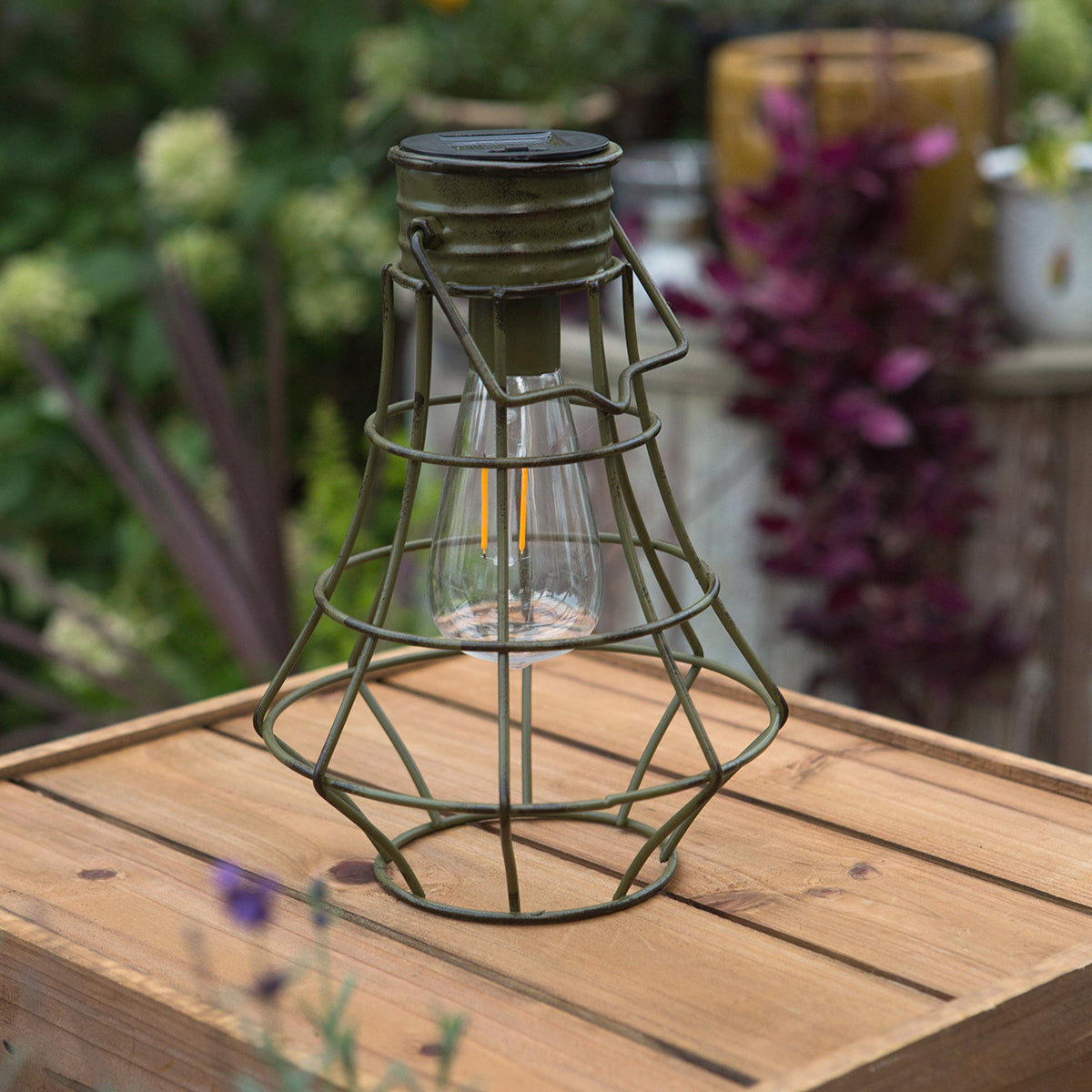 Yorktown Edi-Sol Lantern - Olive