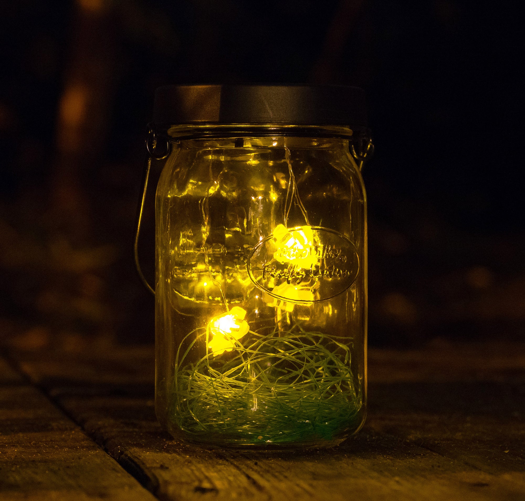 Firefly Solar Lantern