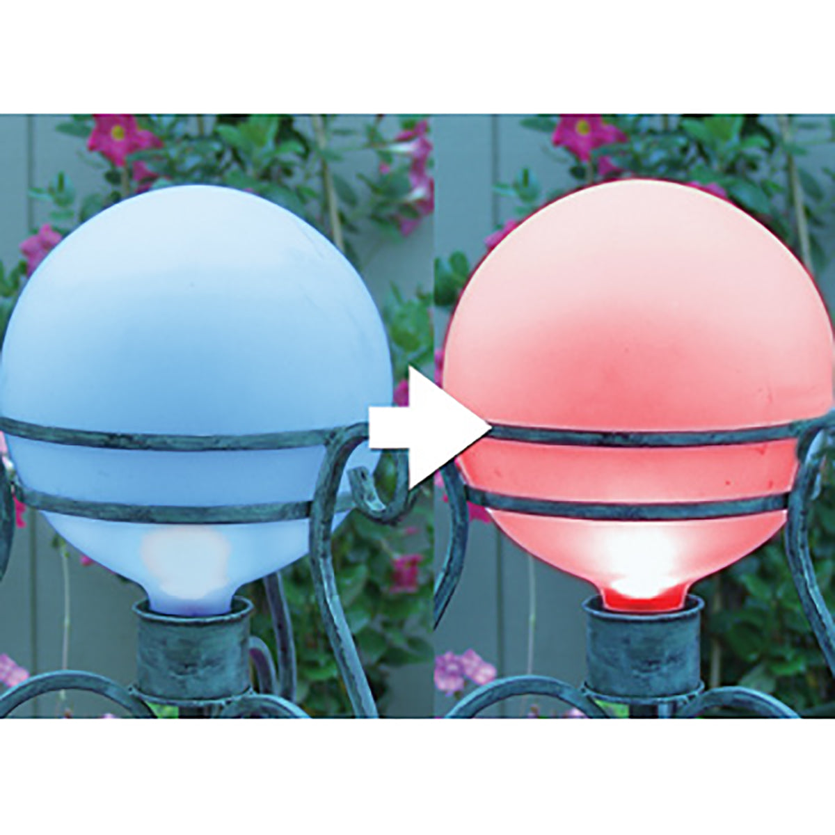 LED Solar Color Changing Caplight
