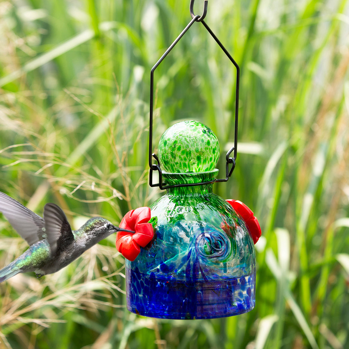 LunaLite Bell Hummingbird Feeder - Green/Blue