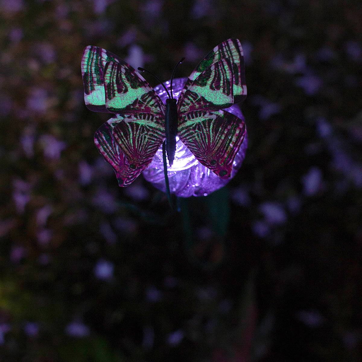 LunaLite Butterfly - Cranium Planter Stake - Purple