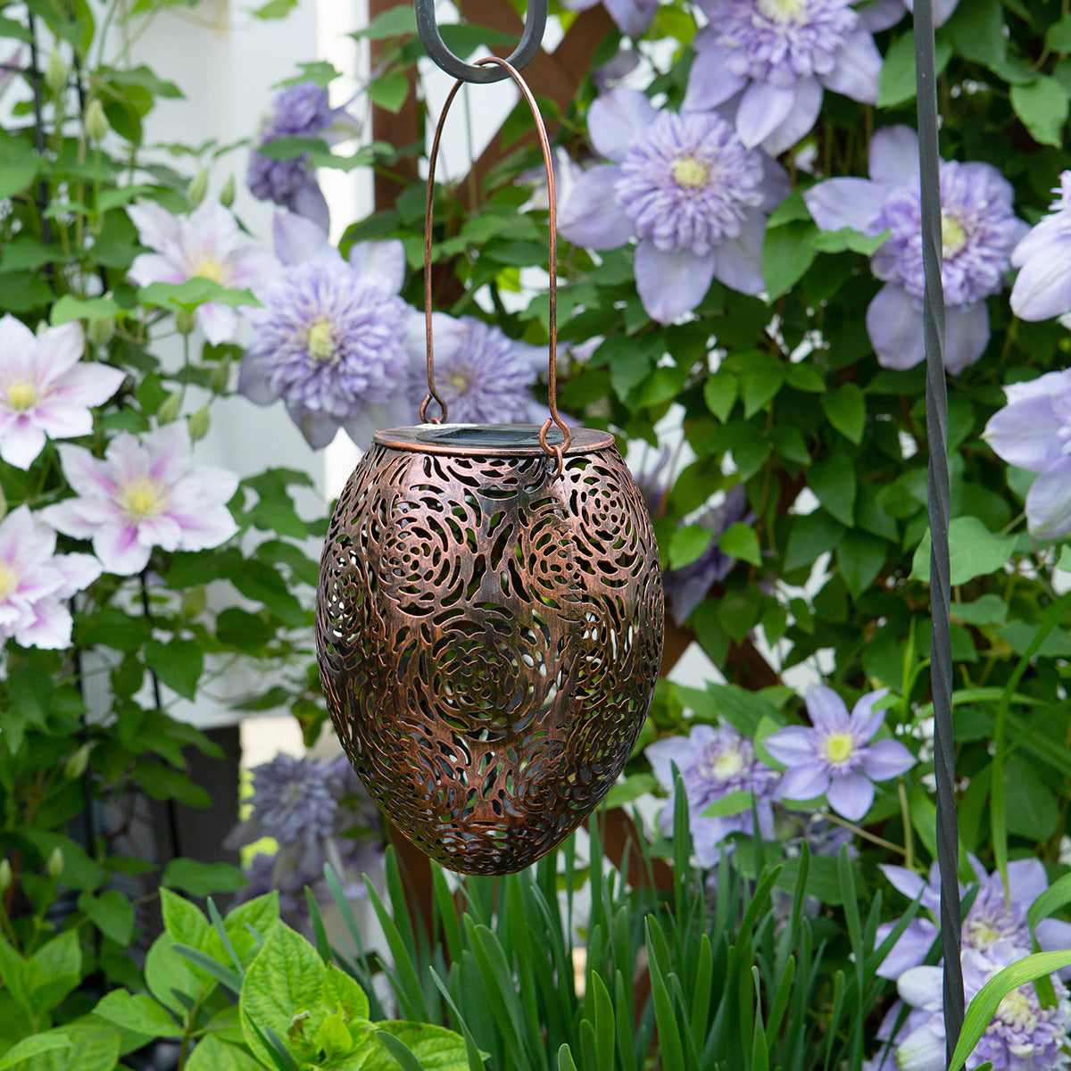 Rose Silhouette Solar Lantern