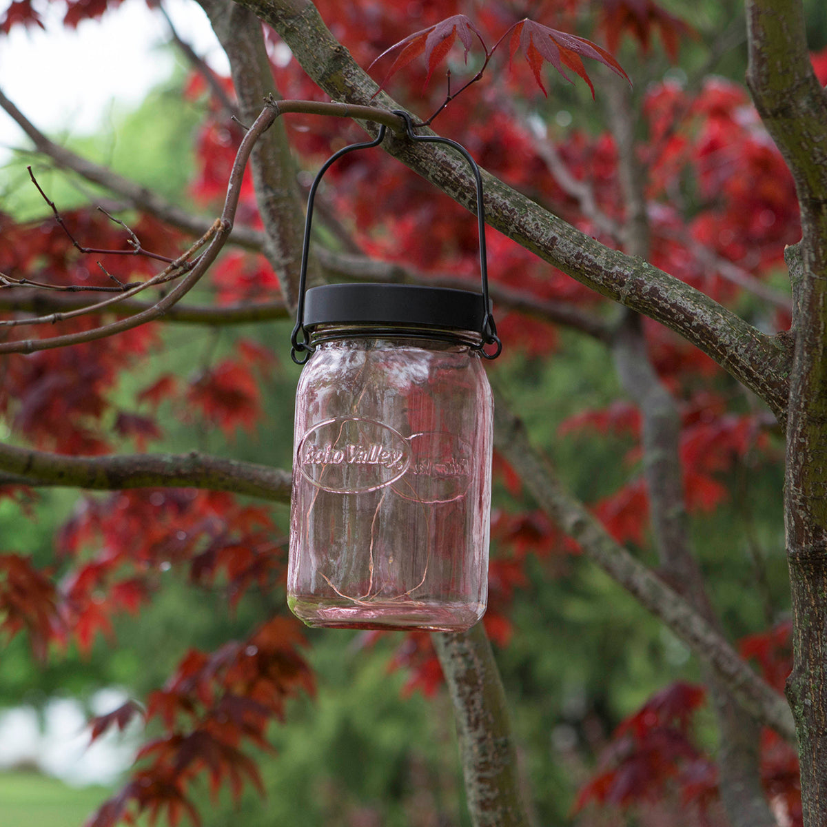 Twinkle Light Solar Jar Lantern (Pink)