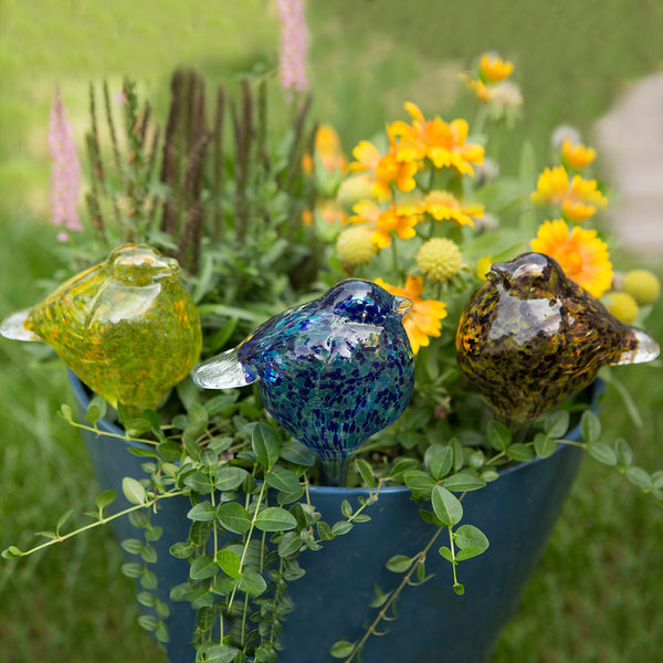 Bird Plant Quencher 3pc set - EchoValley.com